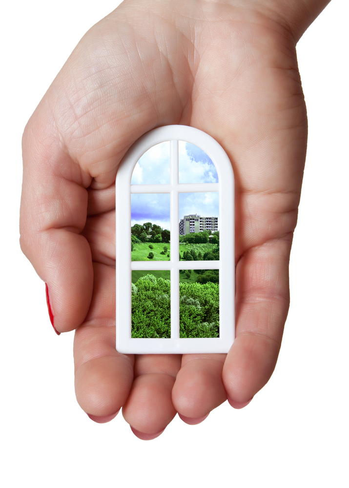 Timber windows and doors by Patchett Joinery