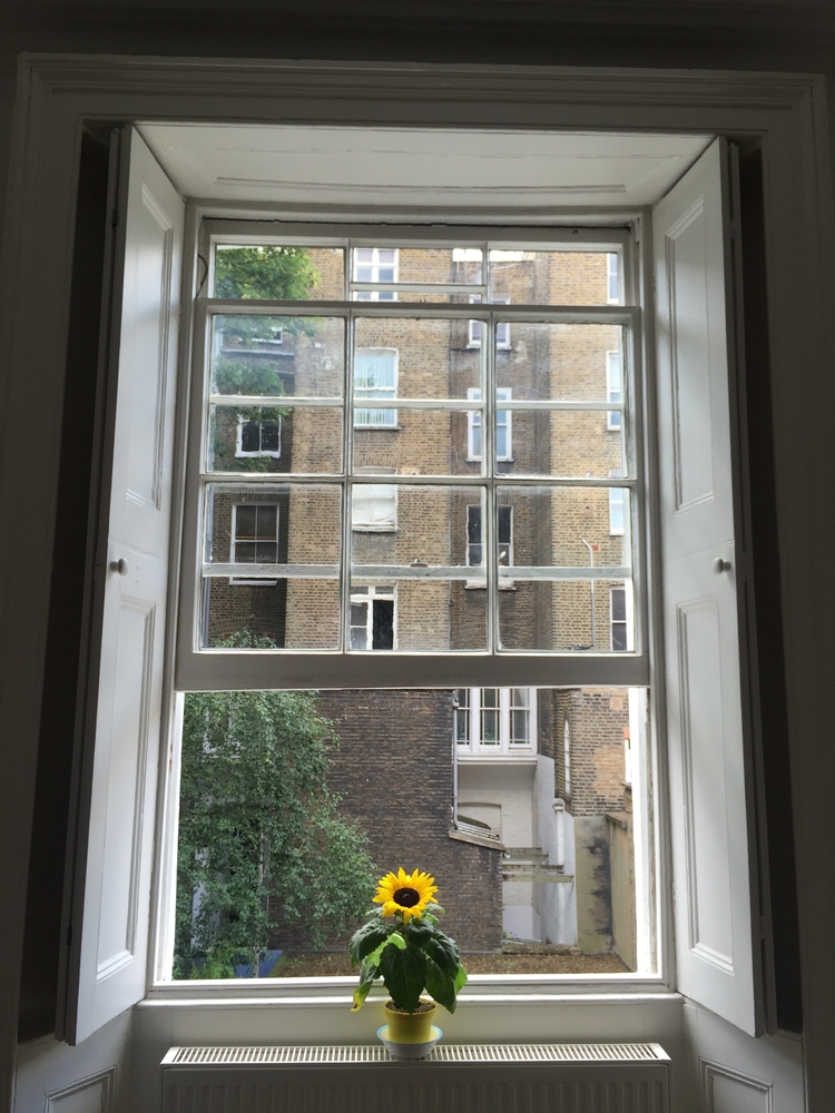 sash-windows-sheffield