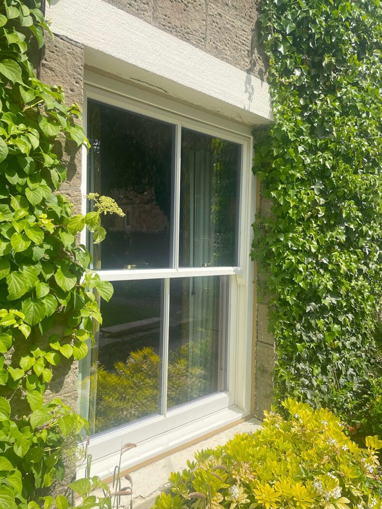 Exterior view of a sliding sash window with climbing ivy on the walls