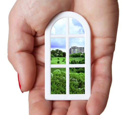 Timber windows and doors by Patchett Joinery